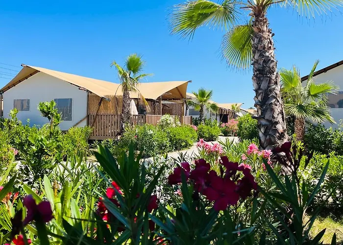 Alwin * Cupra Marittima