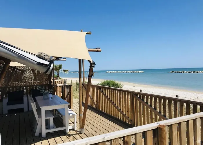 Alwin Cupra Marittima